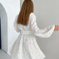 Hollow Jacquard Lantern Sleeve Dress