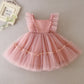 HETISO New Baby Girl Baptism Dresses Toddler Christening Gowns Children's Clothes Summer Birthday Wedding Dress for Newborn 3-24
