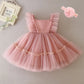 HETISO New Baby Girl Baptism Dresses Toddler Christening Gowns Children's Clothes Summer Birthday Wedding Dress for Newborn 3-24