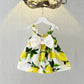 New Summer Baby Girl Dress Big Bow Infant Baby Girl Clothes Cute Print Sleeveless Newborn Infant Princess Dresses for Baby Girls